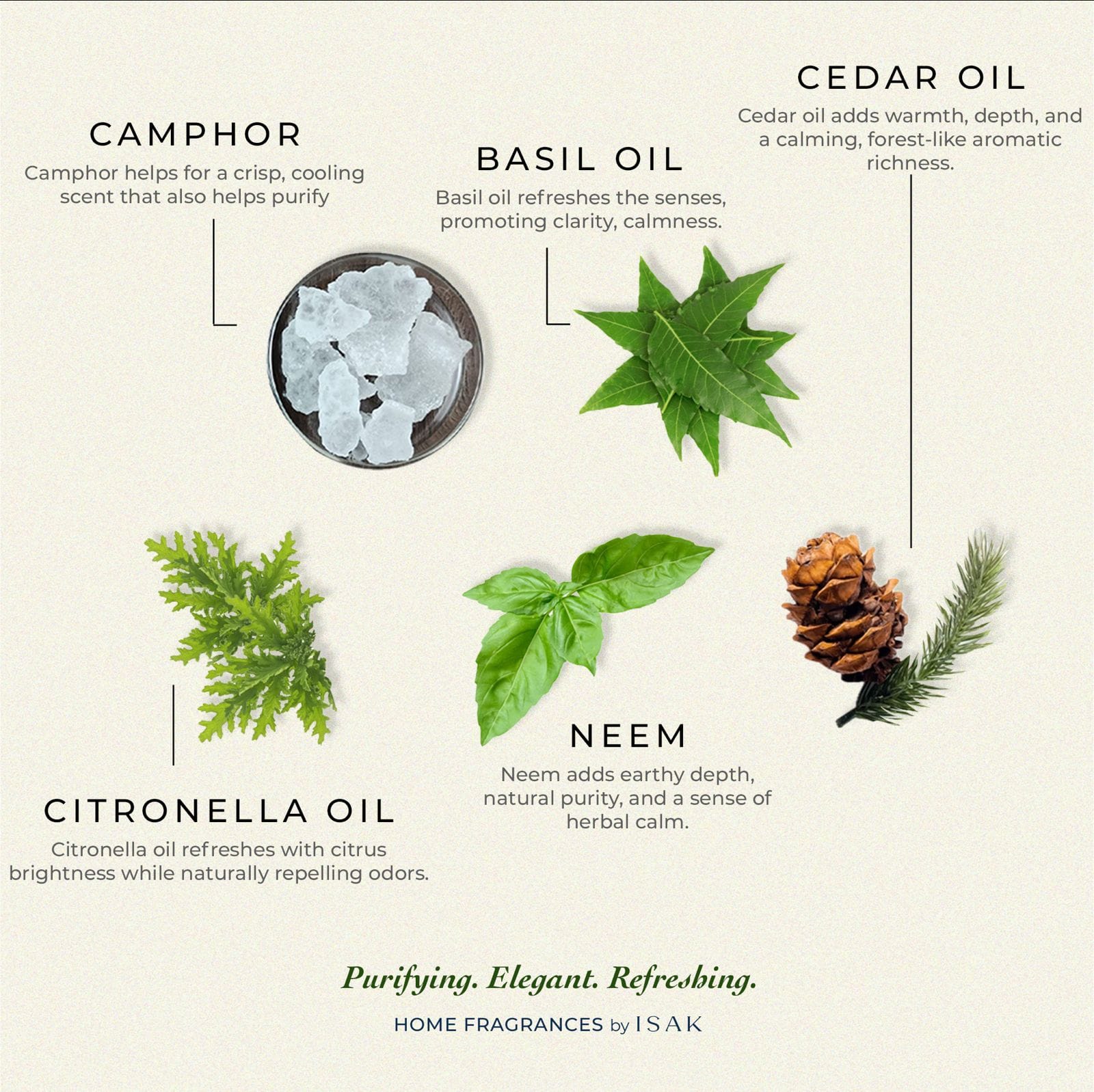 Nature Care Floor Fragrance - Image 3