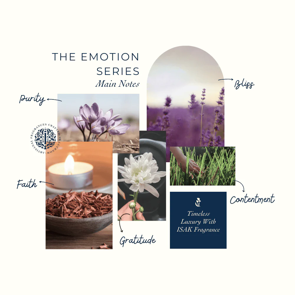 The Emotion Series - Image 3