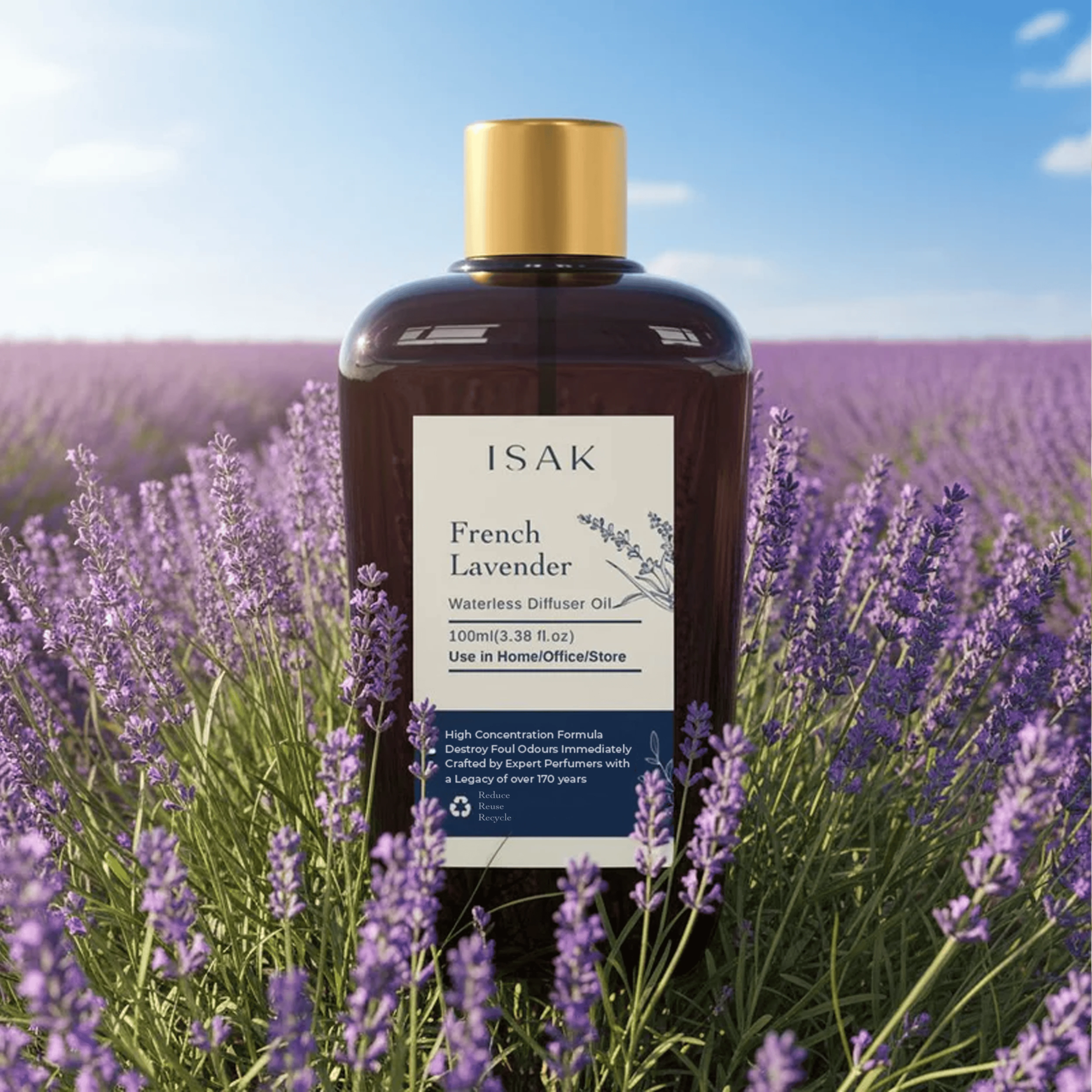 Waterless Diffuser Machine + French Lavender Fragrance Oil - Image 2